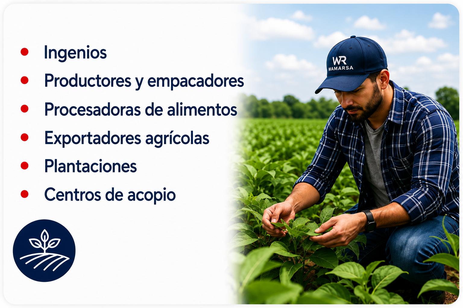 Agroindustria y sector agrícola